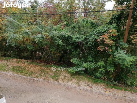 Miskolci 30 nm-es borospince eladó