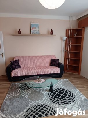 Miskolci belvárosi lakás kiadó a Szinvaparkkal szemben