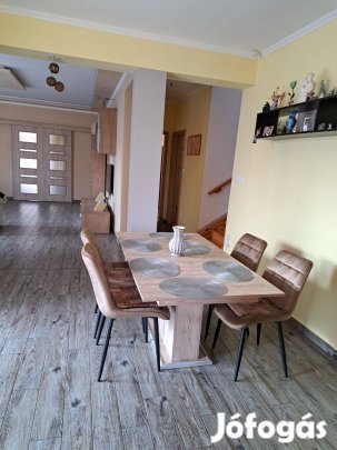 Modern családi ház eladó Cegléd Úrinegyedében 160 m dupla garázs