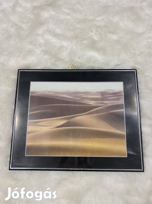 Modern falikép sivatag