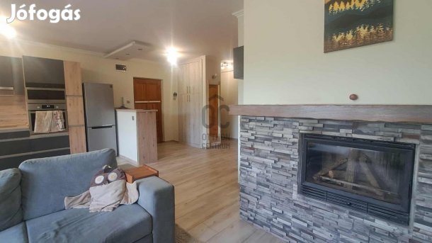 Modern lakás klasszikus értékekkel  szerelem első látásra