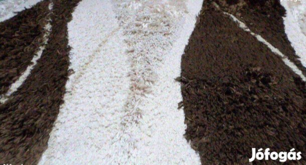 Modern szőnyeg Újszerű féláron 200x290 cm