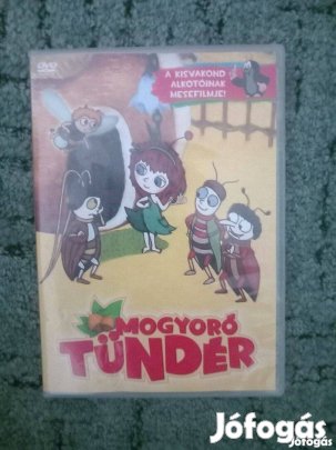 Mogyoró tündér DVD