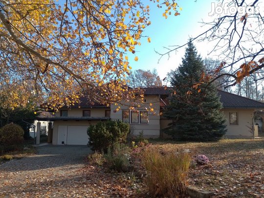 Mogyoród, Szentjakab park, 296 m2-es, családi ház, 6 szobás