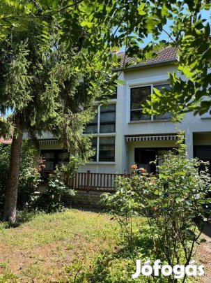 Mohácsi eladó 240 nm-es ház