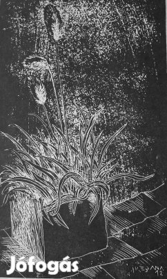 Molnár Dénes aquatinta nyomatok eladók