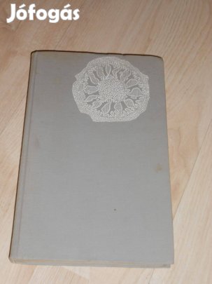 Molnár Gábor: Éjbe zuhant évek (7674)