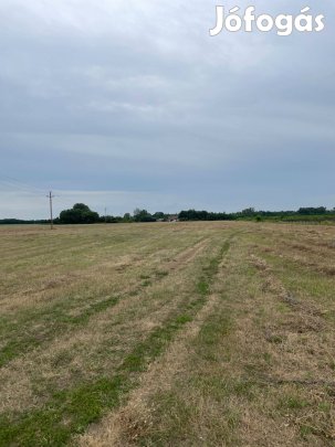 Monor Külterületén 53765NM-Es Szántó Eladó