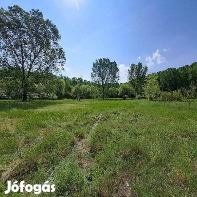 Monor-Monorierdő között 8037 m2-es, külterületi tanya terület, szántó