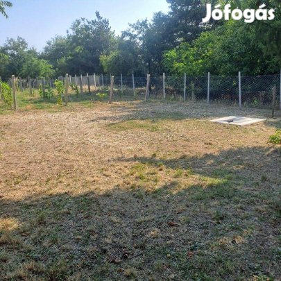 Monor Strázsa hegyen, 3147 m2 zártkerti telek fúrt kút, villany
