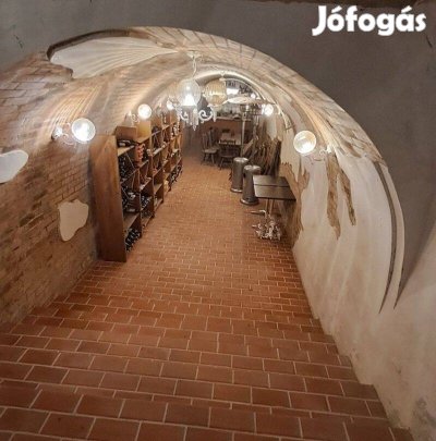 Monor Strázsa-hegyen, boros pince vendéglátó egységgel, 8200 m2 telek