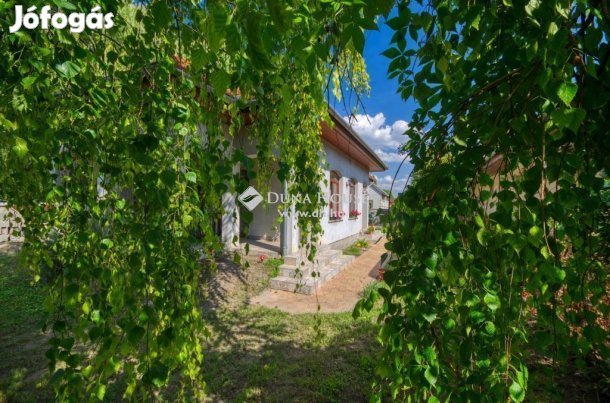 Monori eladó 179 nm-es ház