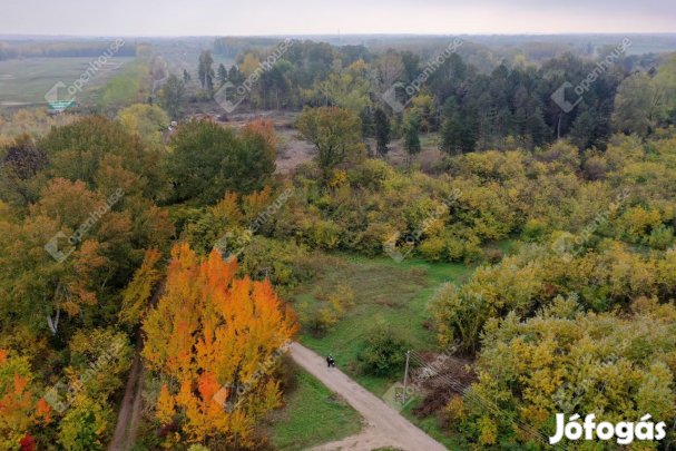 Monorierdői 649 nm-es telek eladó