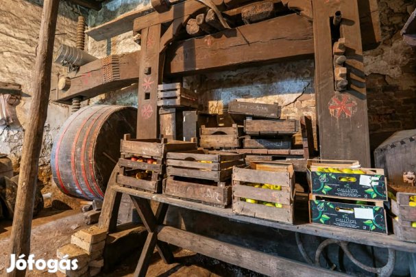 Mór belvárosában történelmi sváb parasztház eladó 