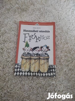 Morag Prunty Használati utasítás fiúkhoz