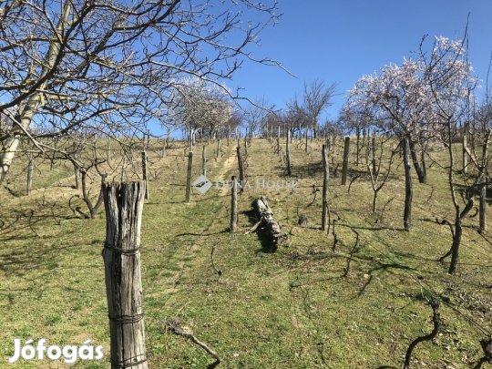 Móri eladó 3345 nm-es telek