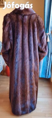 Mormota bunda Hollandiából