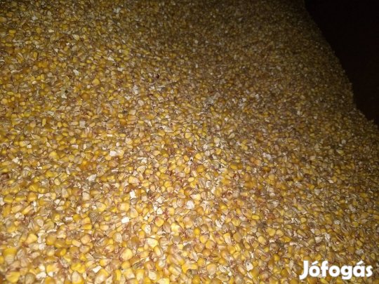 Morzsolt száraz kka