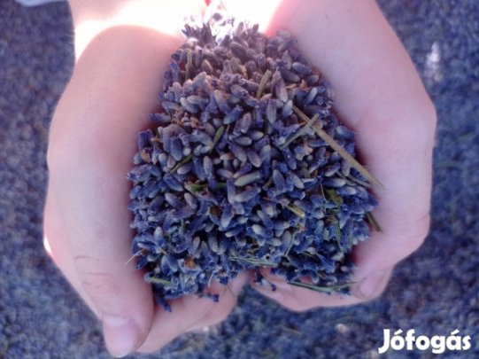 Morzsolt szárított levendula virág 