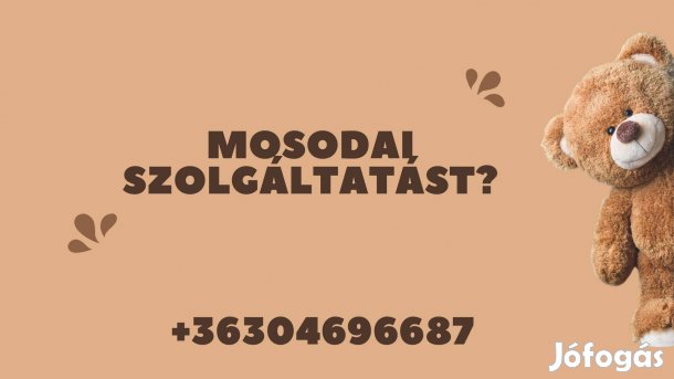 Mosodai szolgáltatás