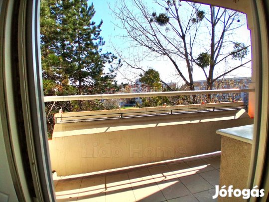 Mosonmagyaróvári panellakás Eladó