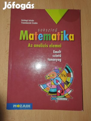 Mozaik Matematika - Az analízis elemei