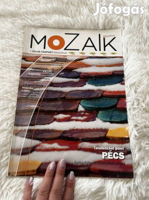 Mozaik magazin,2010 Március, Pécs