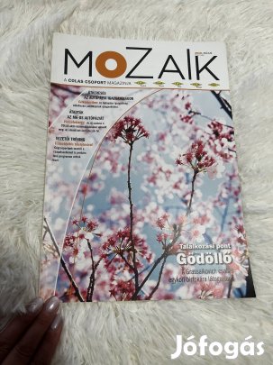 Mozaik magazin, 2010 Május