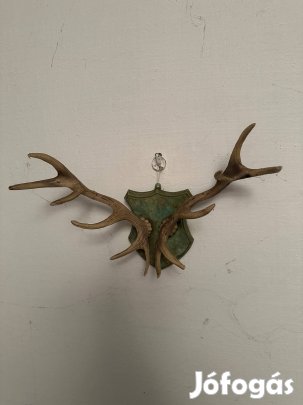 Műanyag agancs, fali dísz