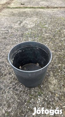 Műanyag cserép eladó