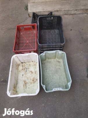 Műanyag láda és rekesz 5db egyben 