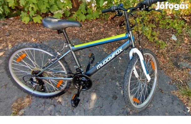 Muddyfox mountain bike