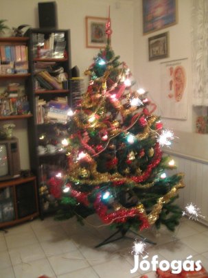 Műfenyő eladó