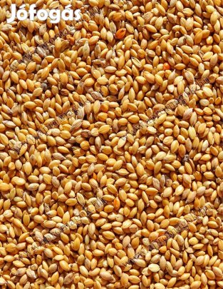 Muhar mag, muharmag, mohar mag eladó postai utánvéttel