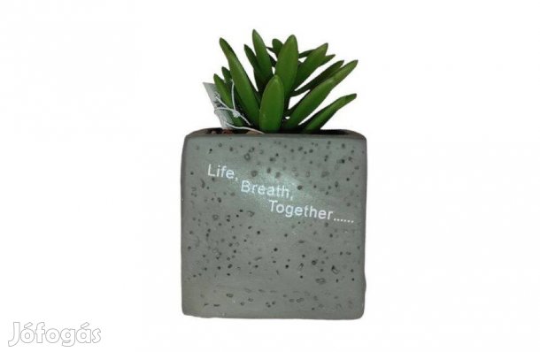 Műkaktusz szürke cserépben 6x6x9 cm, elegáns kis lakásdekor