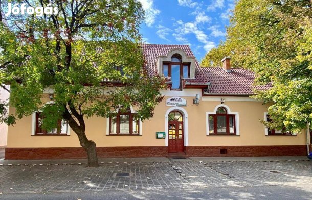 Működő étterem és pizzéria eladó Jánoshalmán!