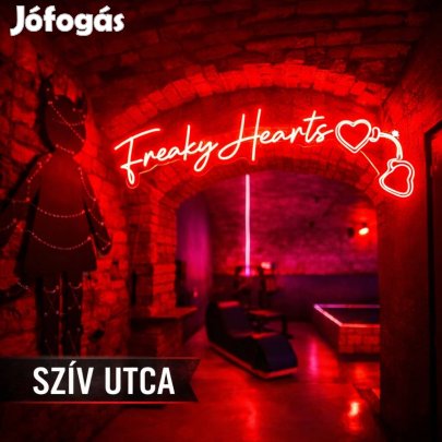 Működő vállalkozás, búvóhely