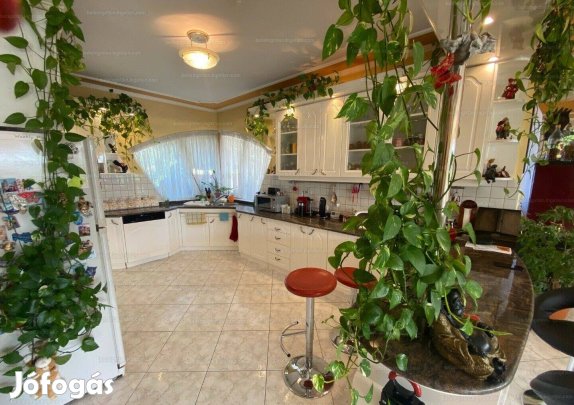 Multifunkciós családi ház eladó Csömörön