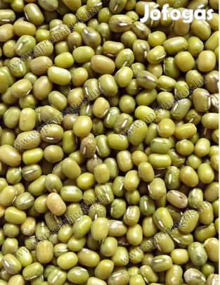 Mungóbab, Katjang eladó postai utánvéttel