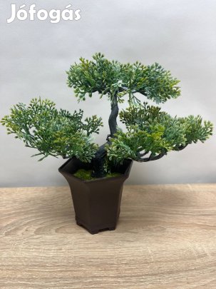 Műnövény - bonsai fa