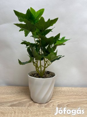 Műnövény dekor - Borostyán