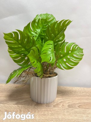 Műnövény dekor - Monstera