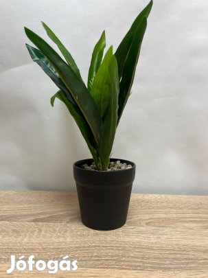 Műnövény dekor - Zöld sáfrányfa