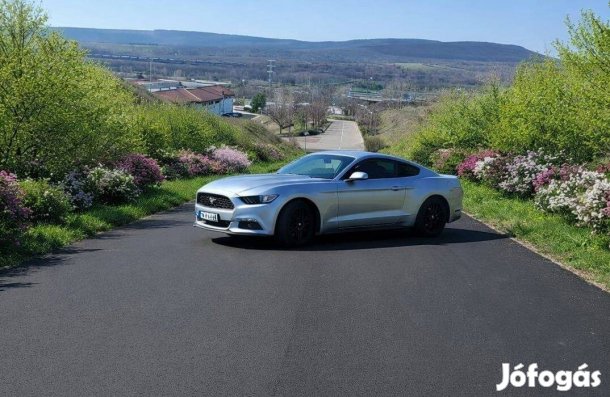 Mustang V6 bérlés napi 30.000 bruttó