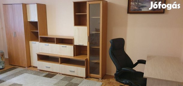 Műszaki egyetem közelében 2 szobás lakás kiadó!