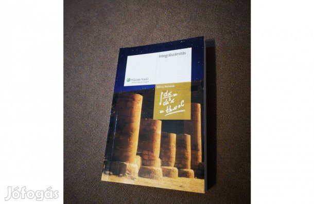 Műszaki kiadó: Integrálszámítás könyv -