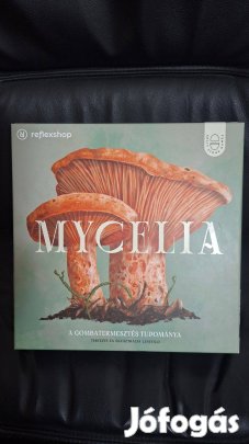 Mycelia társasjáték társas játék