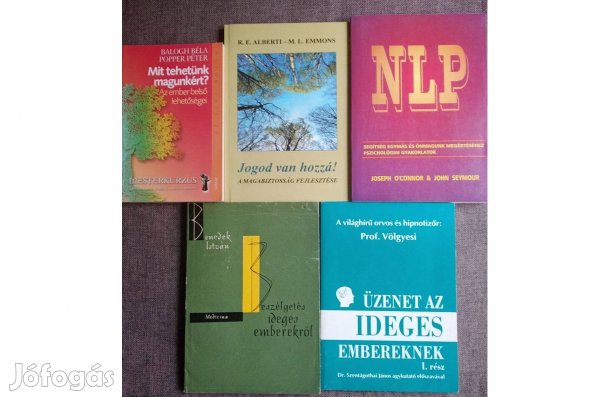 NLP Mit Tehetünk Magunkért Fegyelmezz Megéri Féltékenység Nélkül So