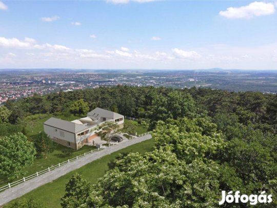 NYUGALOM, PANORÁMA ÉS MINŐSÉG  ÚJ IKERHÁZ PÉCS MECSEKOLDAL