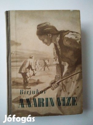 N. Birjukov - A Narin vize